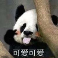 尼古拉斯梁某头像