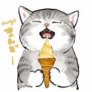 转角遇见823的个人资料头像