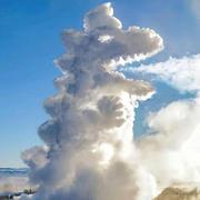 penguins的个人资料头像