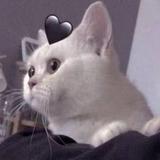 用户8290887257860头像