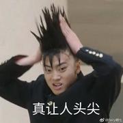 暴躁的臭大鳖的个人资料头像