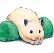 辛帝的个人资料头像