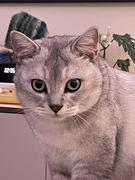 猹斯的个人资料头像