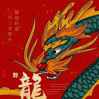 大立563头像