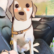 l小梁同学l的个人资料头像