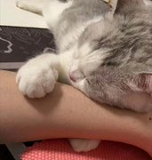 饲养员cq的个人资料头像