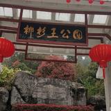 dfw620灰灰头像