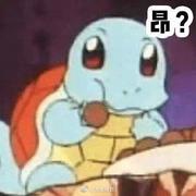 Jenny橙子的个人资料头像