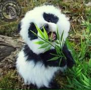 LeaK的个人资料头像