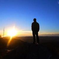 趁心未冷356头像