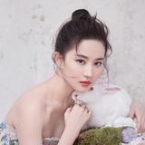 奈何心心向向头像