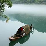 奇幻菠萝MF头像
