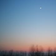 ConvertTo的个人资料头像