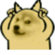 小黑屋的个人资料头像