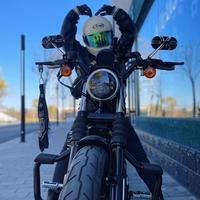 喵喵又菜又爱骑头像