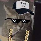 Reggie不想说话的个人资料头像