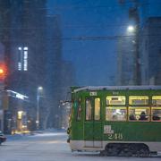 Wangsyaa的个人资料头像