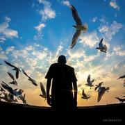 码农的求学之路的个人资料头像