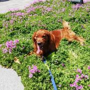 周斌11的个人资料头像