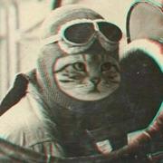 aaayu的个人资料头像