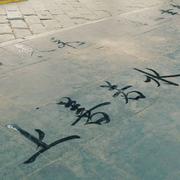 ytdb的个人资料头像