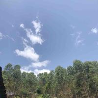 已经很黑了头像