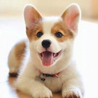 明天更好为自己而活头像