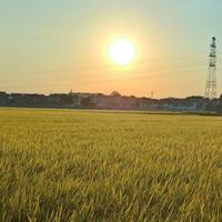 天涯孤魂321头像