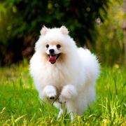 小小硕301的个人资料头像