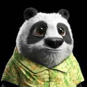 想睡觉的熊猫的个人资料头像