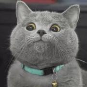 夌曟彡點的个人资料头像