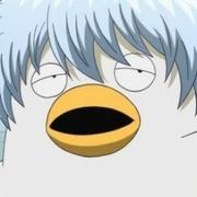 休特的个人资料头像