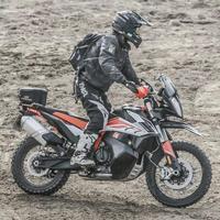 达姆鹏鹏疯摩院头像