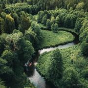 Merely的个人资料头像