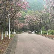 开心小仁的个人资料头像