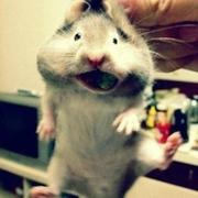 bnerDY的个人资料头像