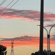 程序媛本媛的个人资料头像