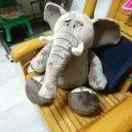 pulse的个人资料头像