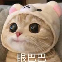 懂车弟999头像