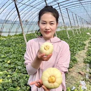 乡下小陶头像