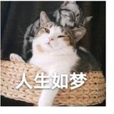 自强不息海浪cml头像
