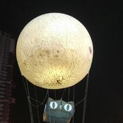 没内涵的猿的个人资料头像