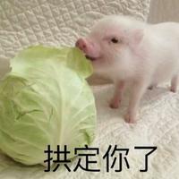 偶尔无厘头先生头像