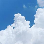 云舟395的个人资料头像