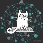 codeaccccc的个人资料头像