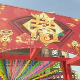 乐珺255头像