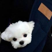 Control587的个人资料头像