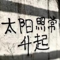 汪汪队立二功头像