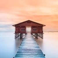 阿伯拉罕小猪头像