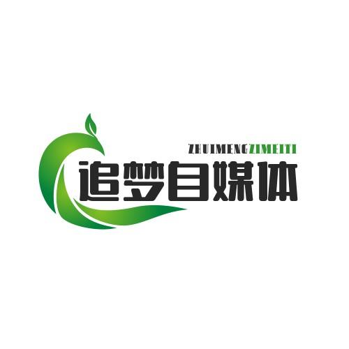 追梦自媒体DIY头像